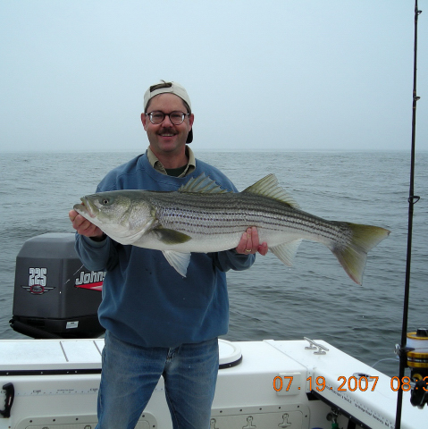 fish caught on our daily fishing trips